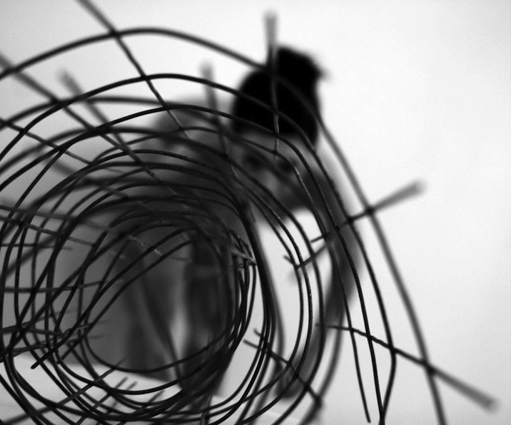 Immagine 4 Through by Caterina De Luca, image 3