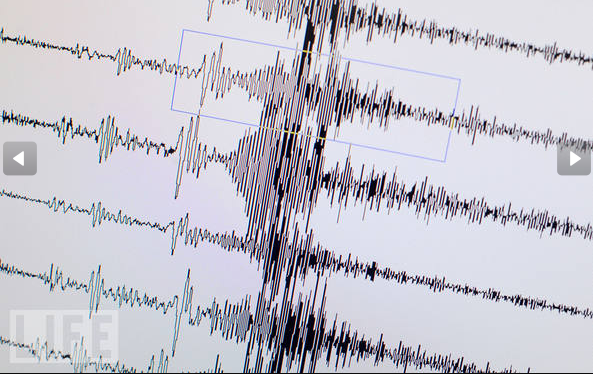 JAPAN FEELDESAIN2 Earthquake and Tsunami in Japan, image 2
