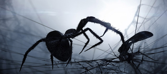 Immagine 10 Loom