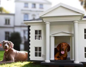 Dog Mansions | Best Friends Home