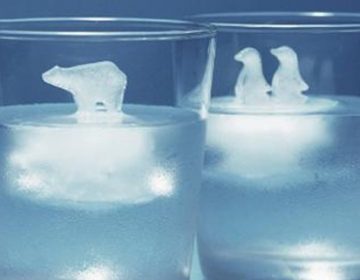 Polar Bear and penguin ice