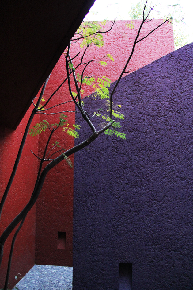 casa8