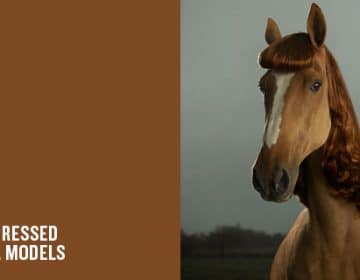 Pony Pin-Ups by JULIAN WOLKENSTEIN