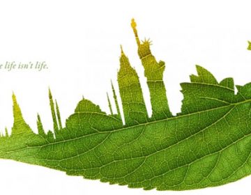 Leaf Illustrations | Plant for the Planet