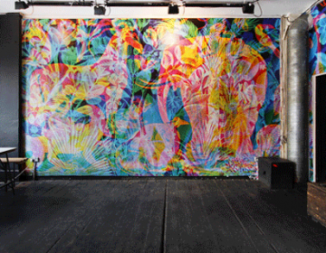 La Selva / Carnovsky