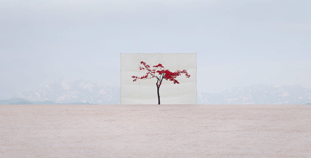 Tree | Outdoor Installation by Myoung Ho Lee