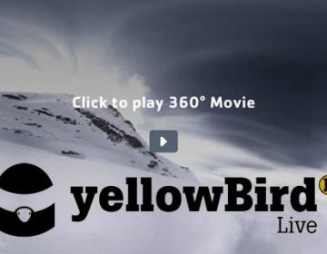YellowBird | See the world like never before