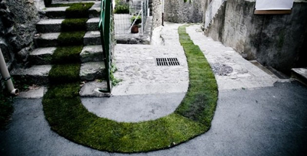 Green Carpet | Tapis Rouge