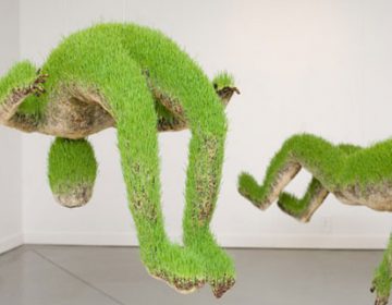 Lifes of Grass | Mathilde Roussel