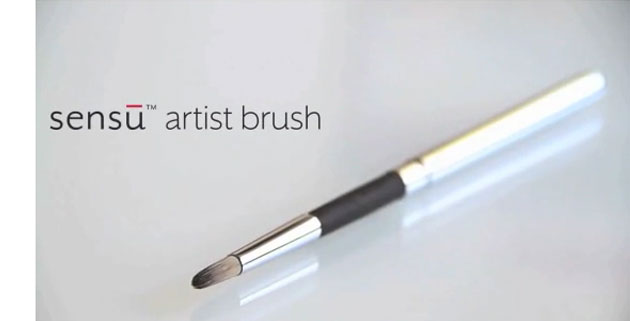 Sensu Brush | iPad