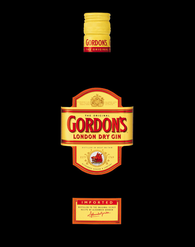 gin_curve-studio-feel-desain