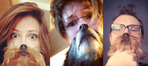 Dogs/Cats Beards