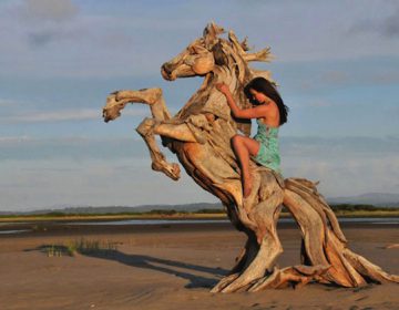 Driftwood animal sculptures
