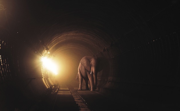 Surreal Digital Illustrations by Tebe Interesno feeldesain04