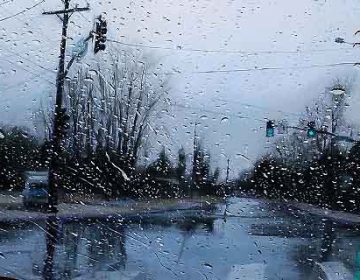 Photorealistic Paintings!!