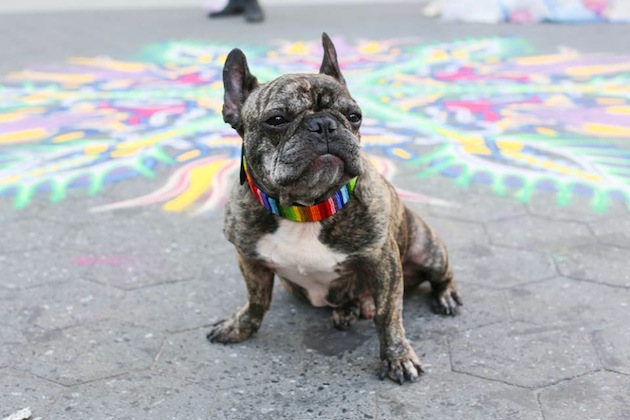 humans of new york feeldesain0103