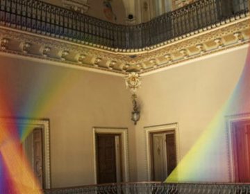 Plexus Colorful Installations