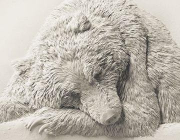 3d Paper Sculptures by Calvin Nicholls