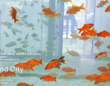 Fish Pond City Xi’an