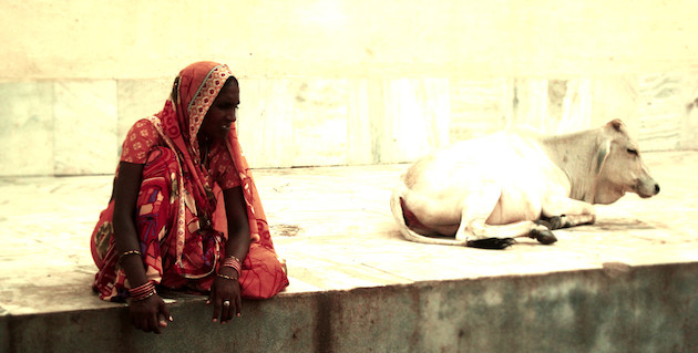 INDIA FEELDESAIN 020