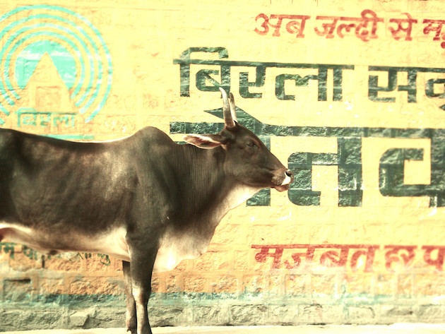 INDIA FEELDESAIN 037
