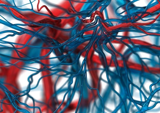 pepsi_circulatory_system_ad_000