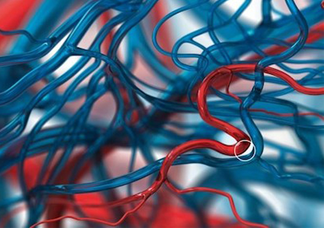 pepsi_circulatory_system_ad_003 copia