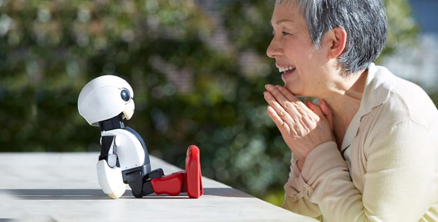 Robi Robot, image 4