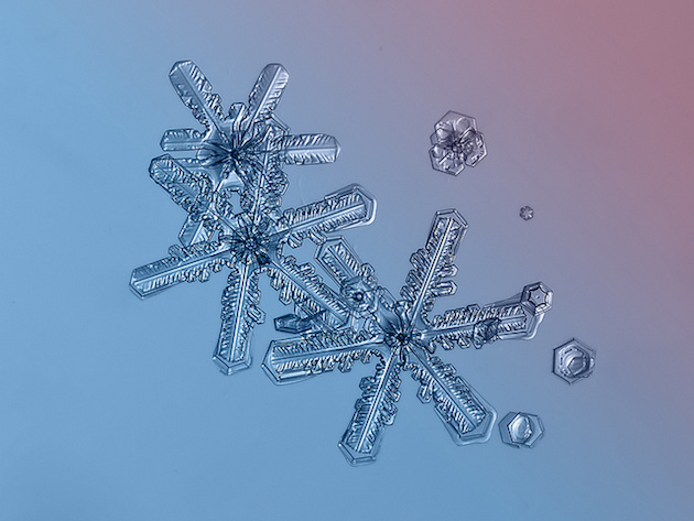 MACRO SNOWFLAKE | Alexey Klijatov – Feel Desain | your daily dose of ...