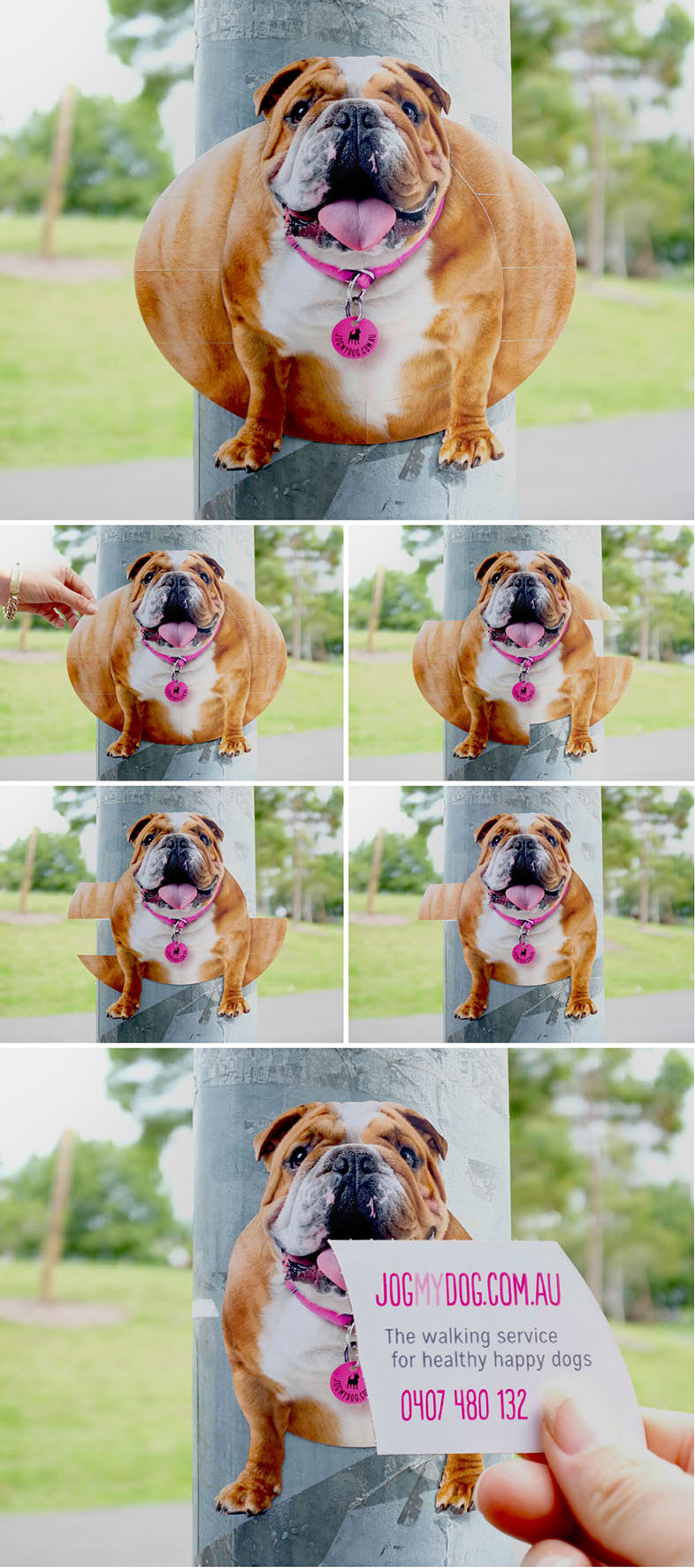 Jog My Dog Feel Desain your daily dose of creativity