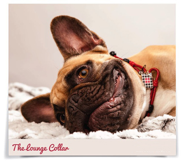 Lounge_collar_feeldesain_03