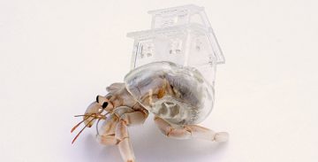 3D Printed Hermit Crab Shell | Aki Inomata – Feel Desain | your daily ...