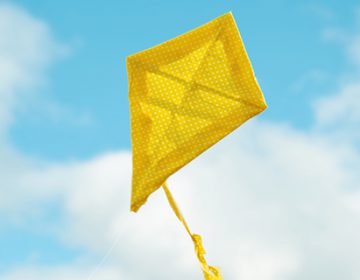 Aeroplay Kites | Lily Li