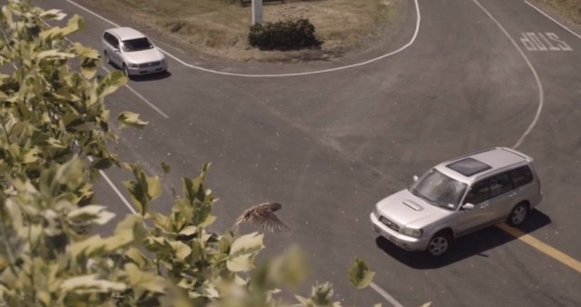 NZ-Transport-Mistakes--640x338
