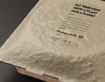 Disposable Food Bowl