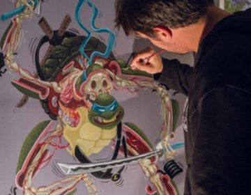 Ninja Turtles anatomy | Nychos