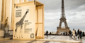Animal Crates In Paris To Celebrate Zoo’s Opening