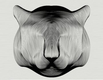 Drawing Animals using Moirée Patterns