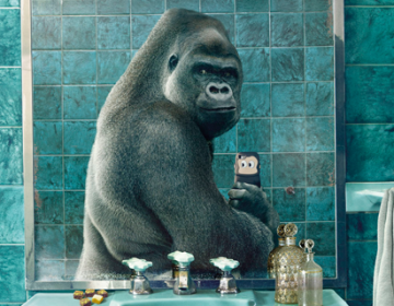 Wildlife selfies | National Geographic