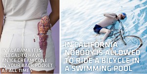 Olivia Locher documents America’s most bizarre laws