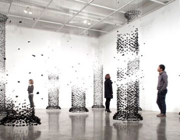 Columns of Suspended Charcoal