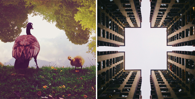 iPhone Photography Awards 2014