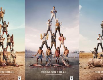 WWF | Stop one. Stop them all