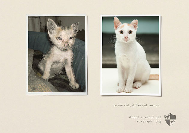 Animal Ads Feeldesain05