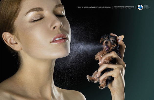 Animal Ads Feeldesain26