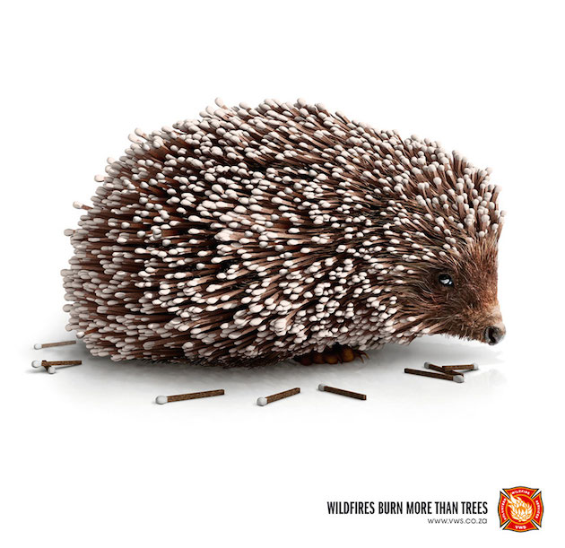 Animal Ads Feeldesain29