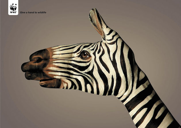 Animal Ads Feeldesain31