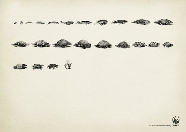 Animal Ads Feeldesain47