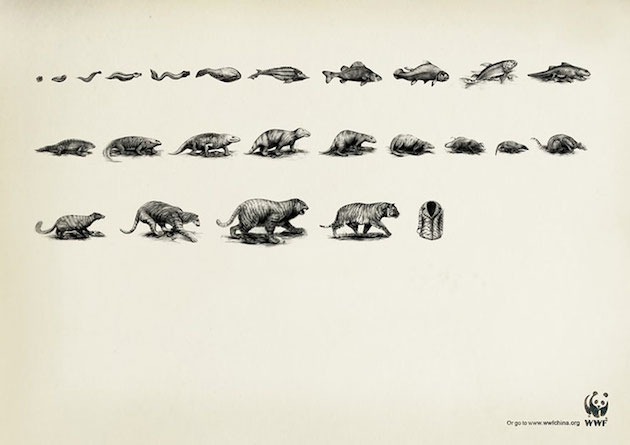 Animal Ads Feeldesain48