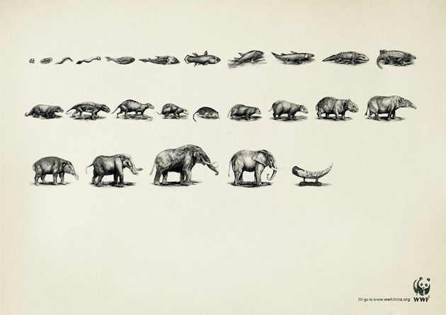 Animal Ads Feeldesain49